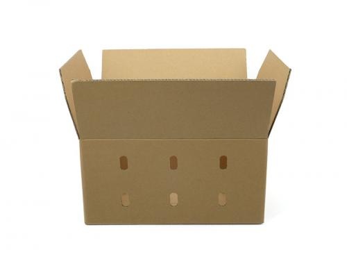 Fruit Breathable Hollow Kraft Paper Box