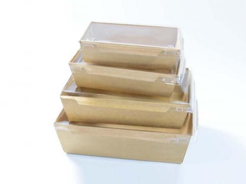 Single Use Bento Box With Plastic Cover